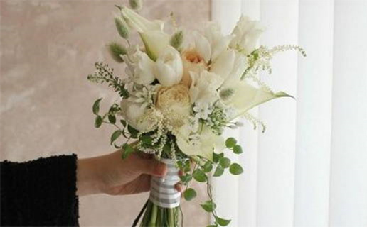 十二生肖鼠最新出生时间(十二生肖鼠最新出生时间是几点)