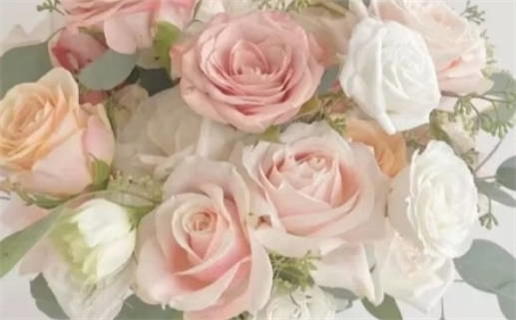 属鼠人和鼠相合的运势解析与提升秘诀