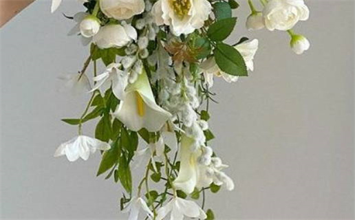 双子座遇到更好选择会变心吗揭秘心理分析