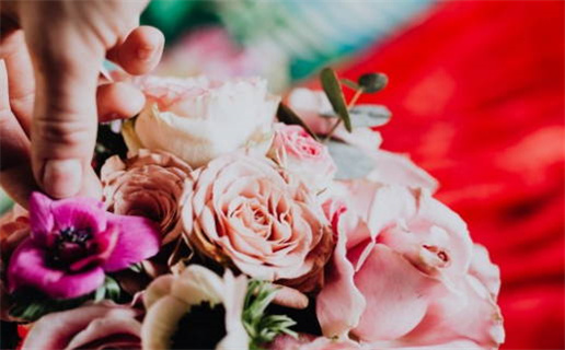 属鼠女和属牛男属相最配_属鼠女和属牛男属相最配吗