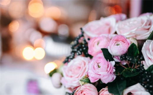 属鼠的最佳婚配男人(属鼠的最佳婚配男人)