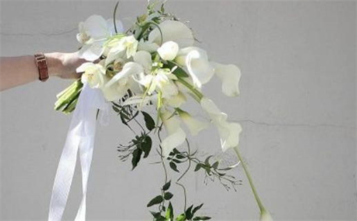 双子座成长魅力增强越大越好看揭秘