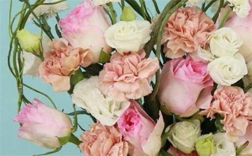 属鼠男最怕老鼠的心理解析与应对策略