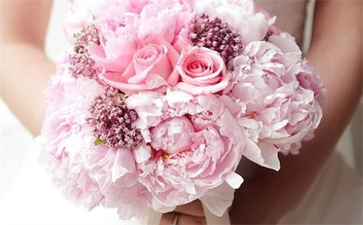 属鼠与属蛇同居指南和谐幸福的秘诀