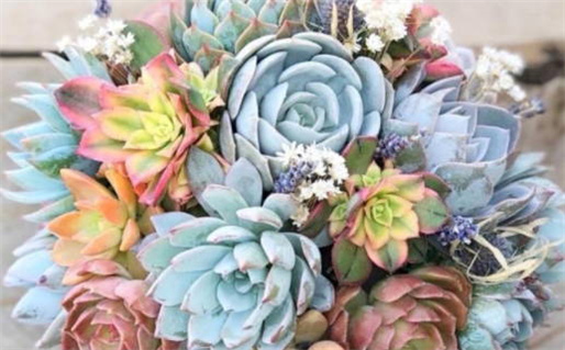 邵子神数算命软件精准预测人生运势助手