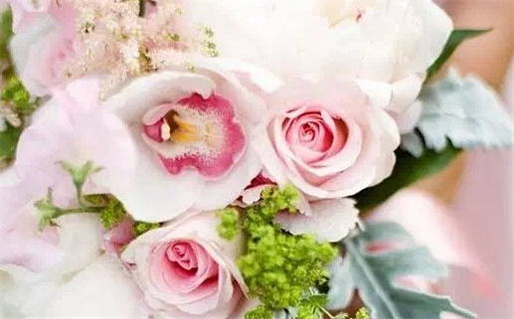 双子座适合戴发晶吗(双子座适合戴发晶吗女生)