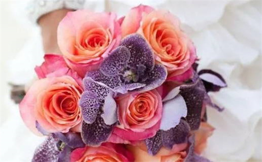 怎么看八字合不合_怎么看八字合不合两个人