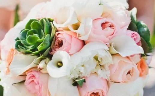 五行土太旺的危害_五行土太旺的危害有哪些