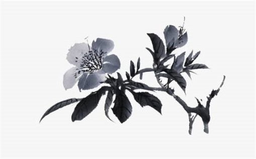 农历二〇二五年腊月廿四黄历入新宅不推荐吗,乔迁吉日查询